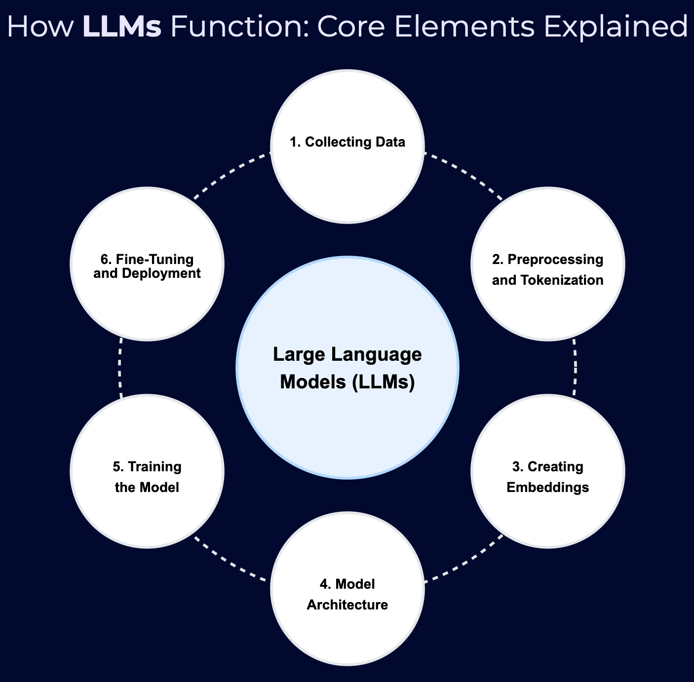 The Building Blocks of LLM Models